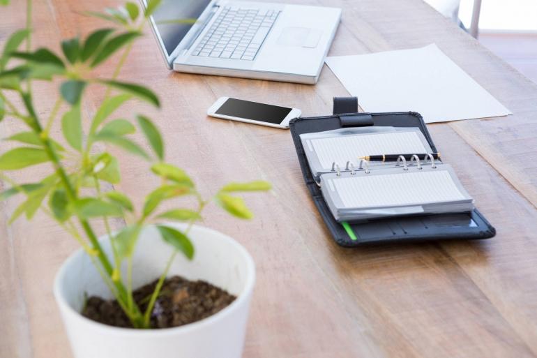 细数7款办公室小盆栽提升观感和工作能力